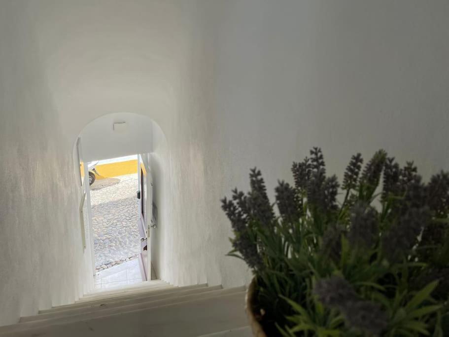 Ferienwohnung Casa Da Oliveira Évora Exterior foto